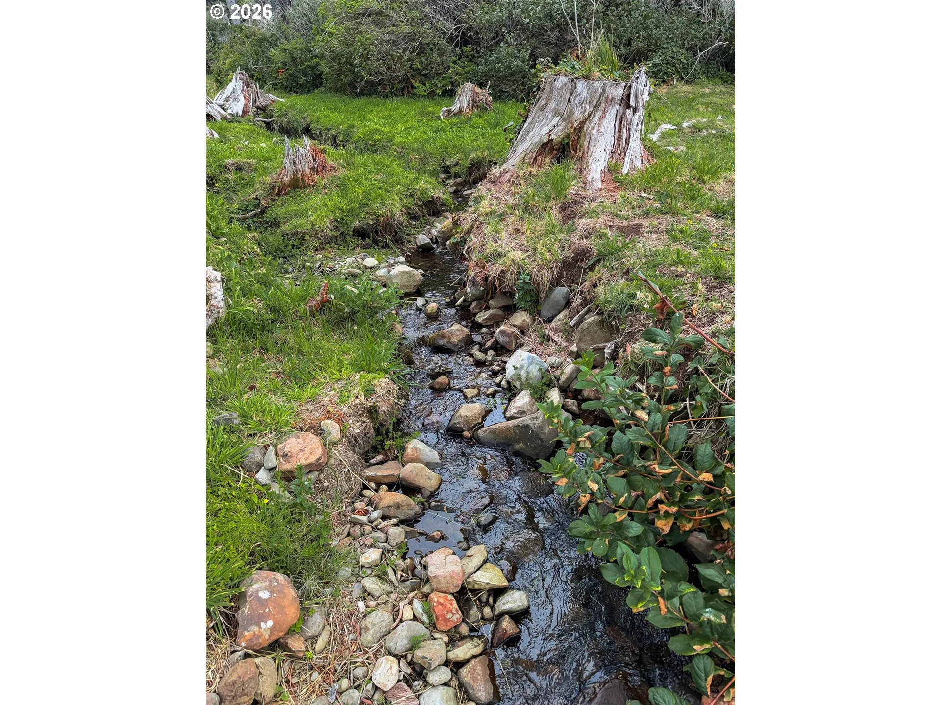 Creek-Year Round