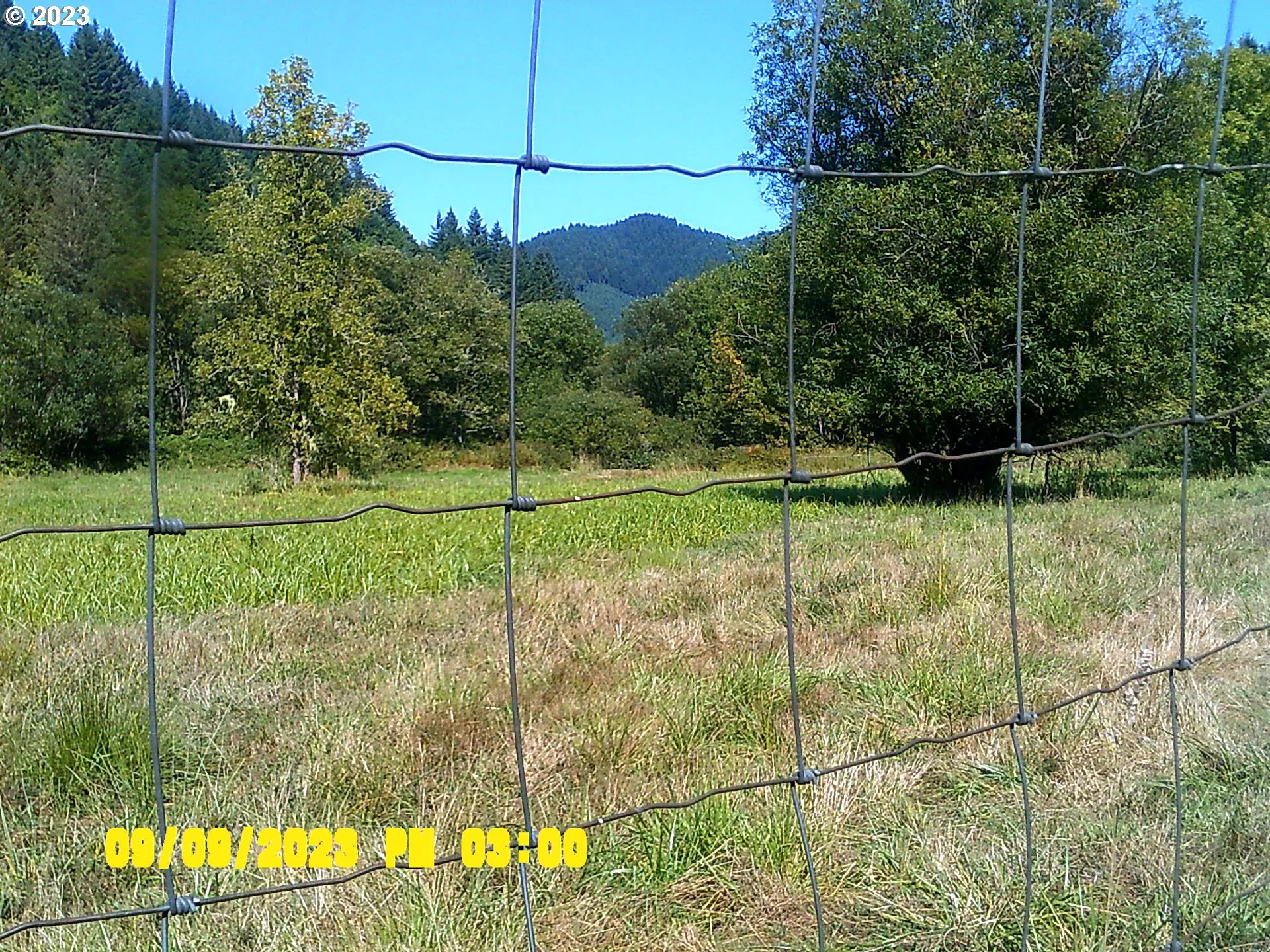 Pasture