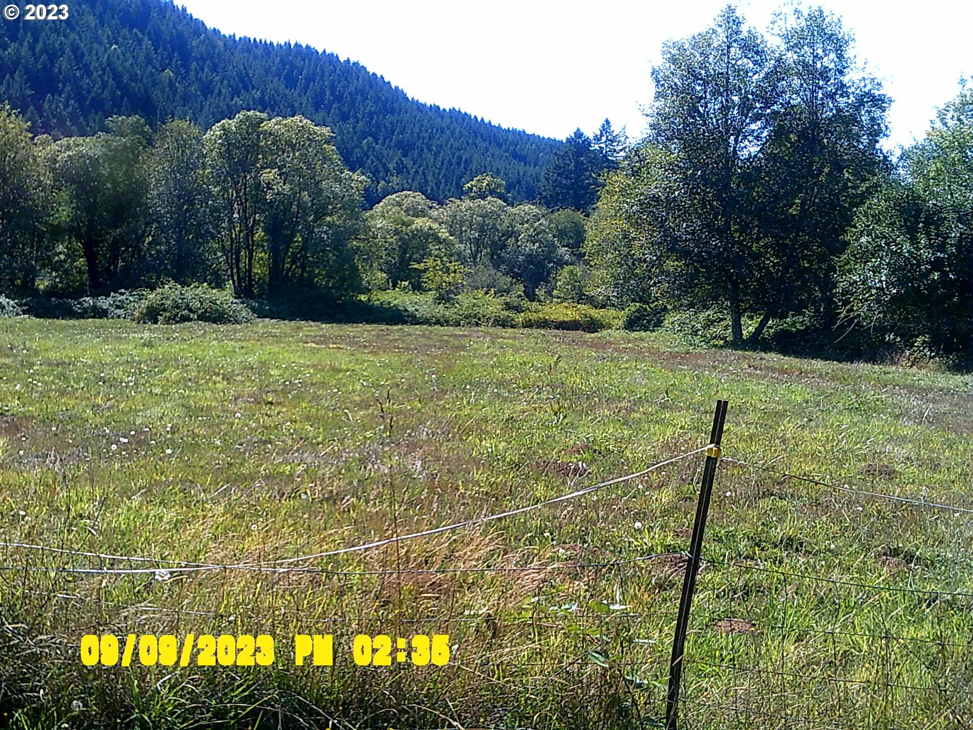 Pasture