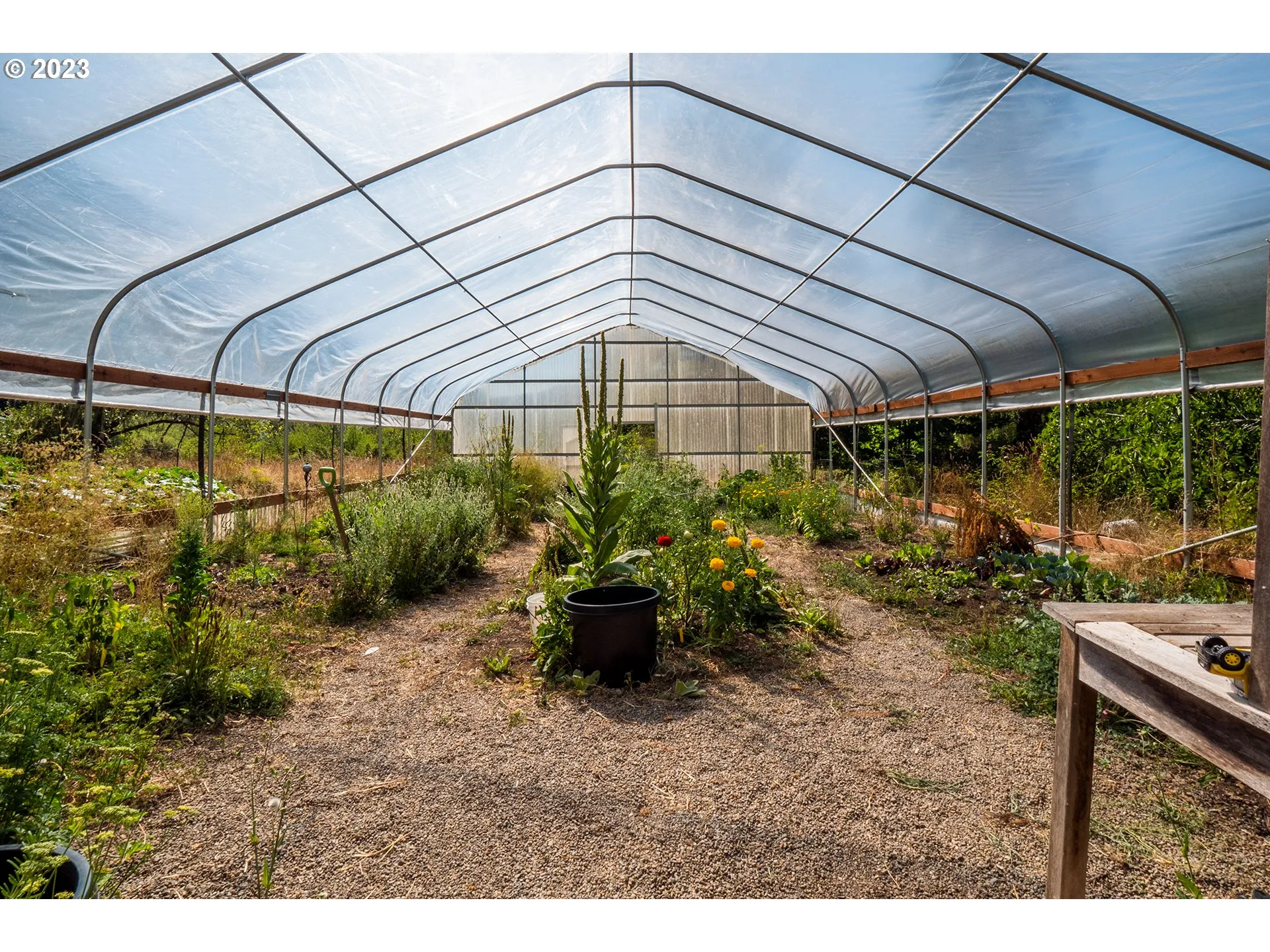 Greenhouse