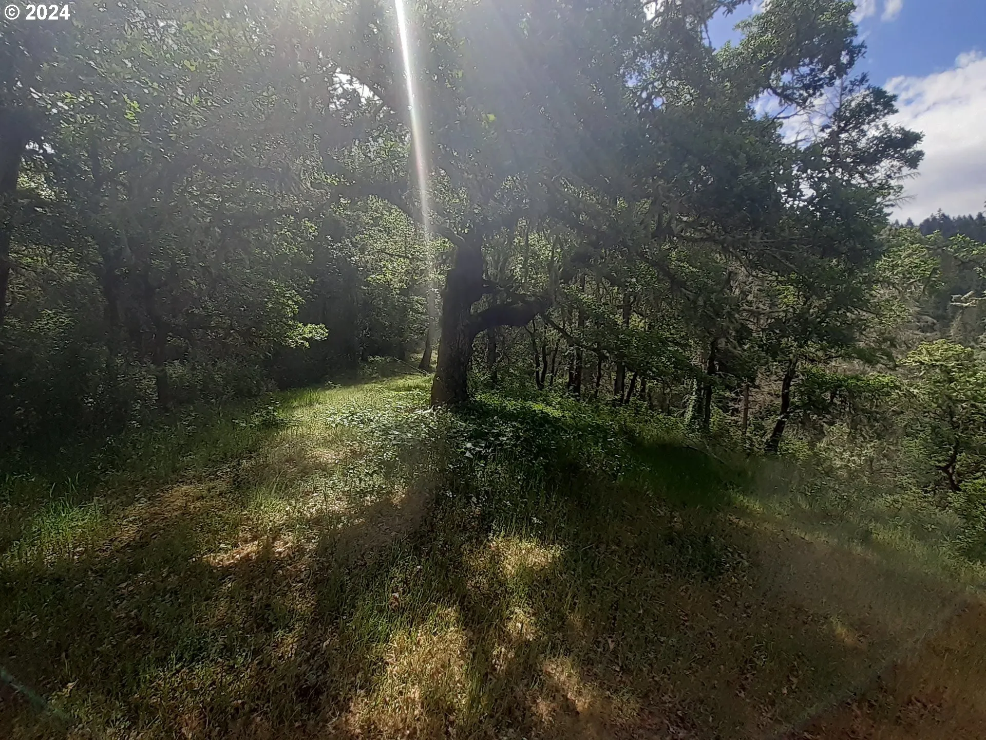 Home Site-Possible