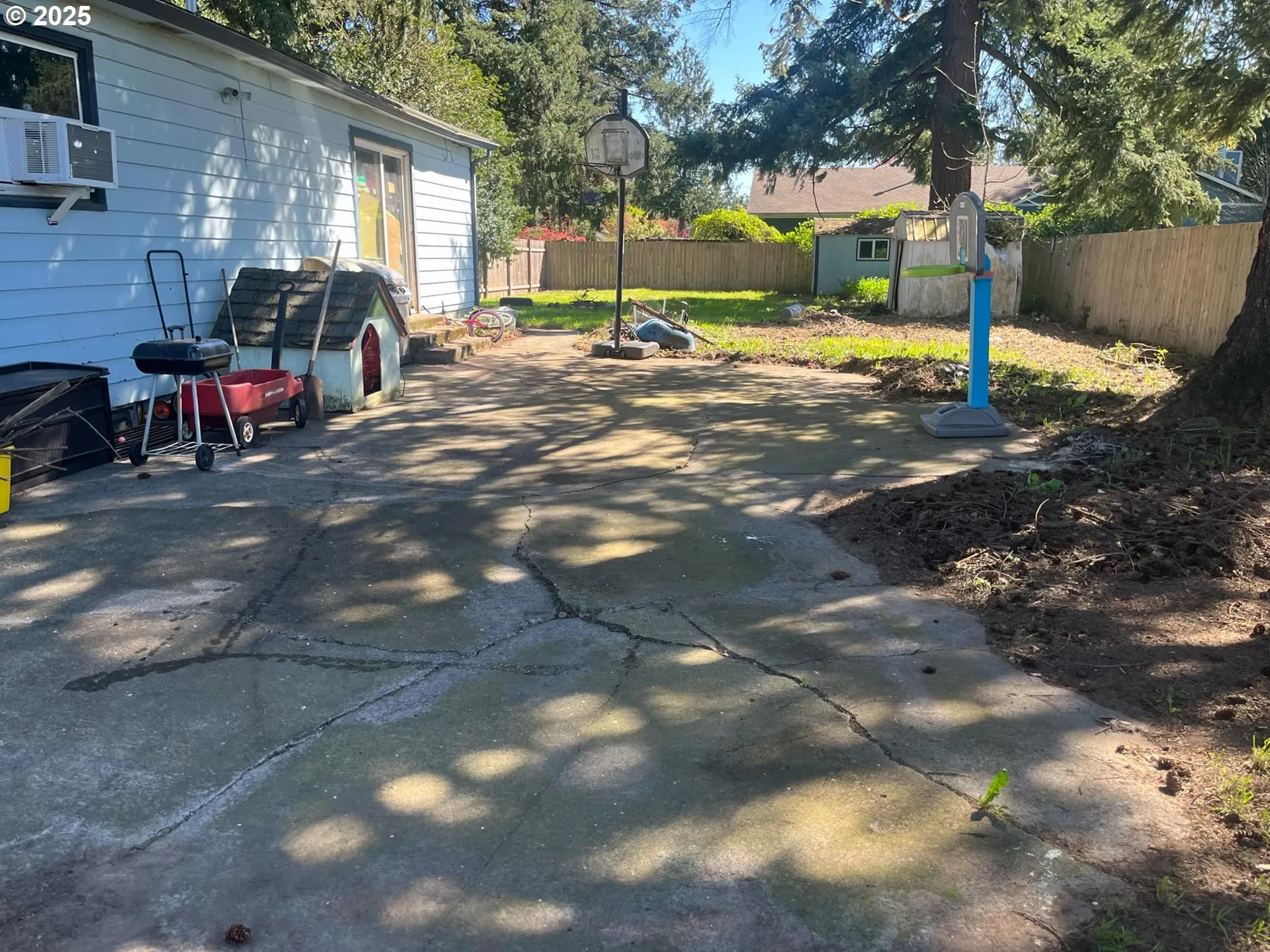 Backyard