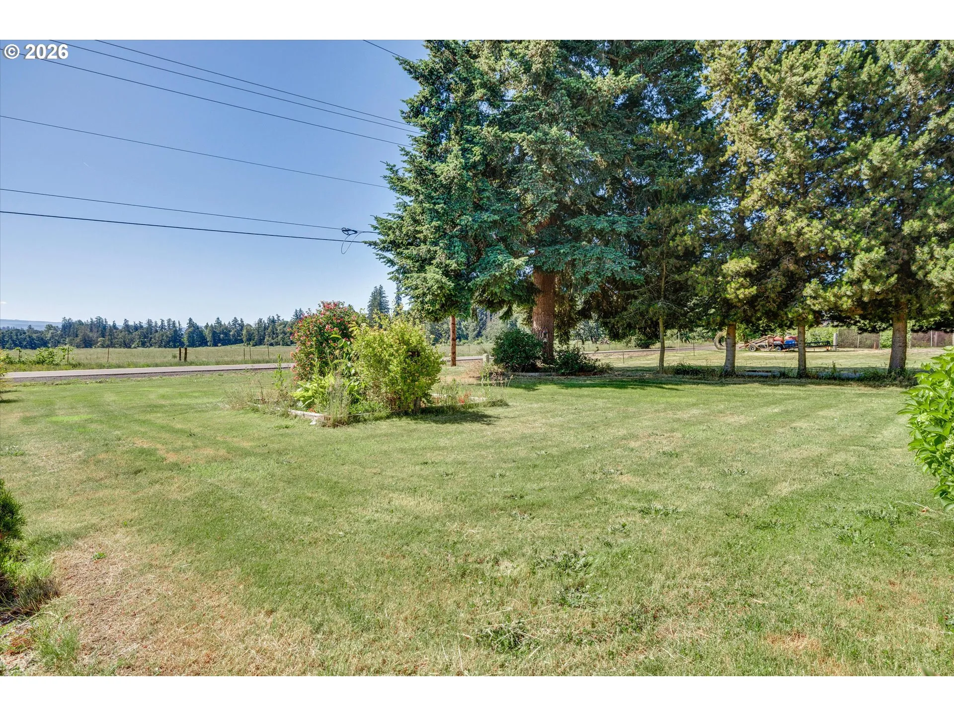 Front Yard