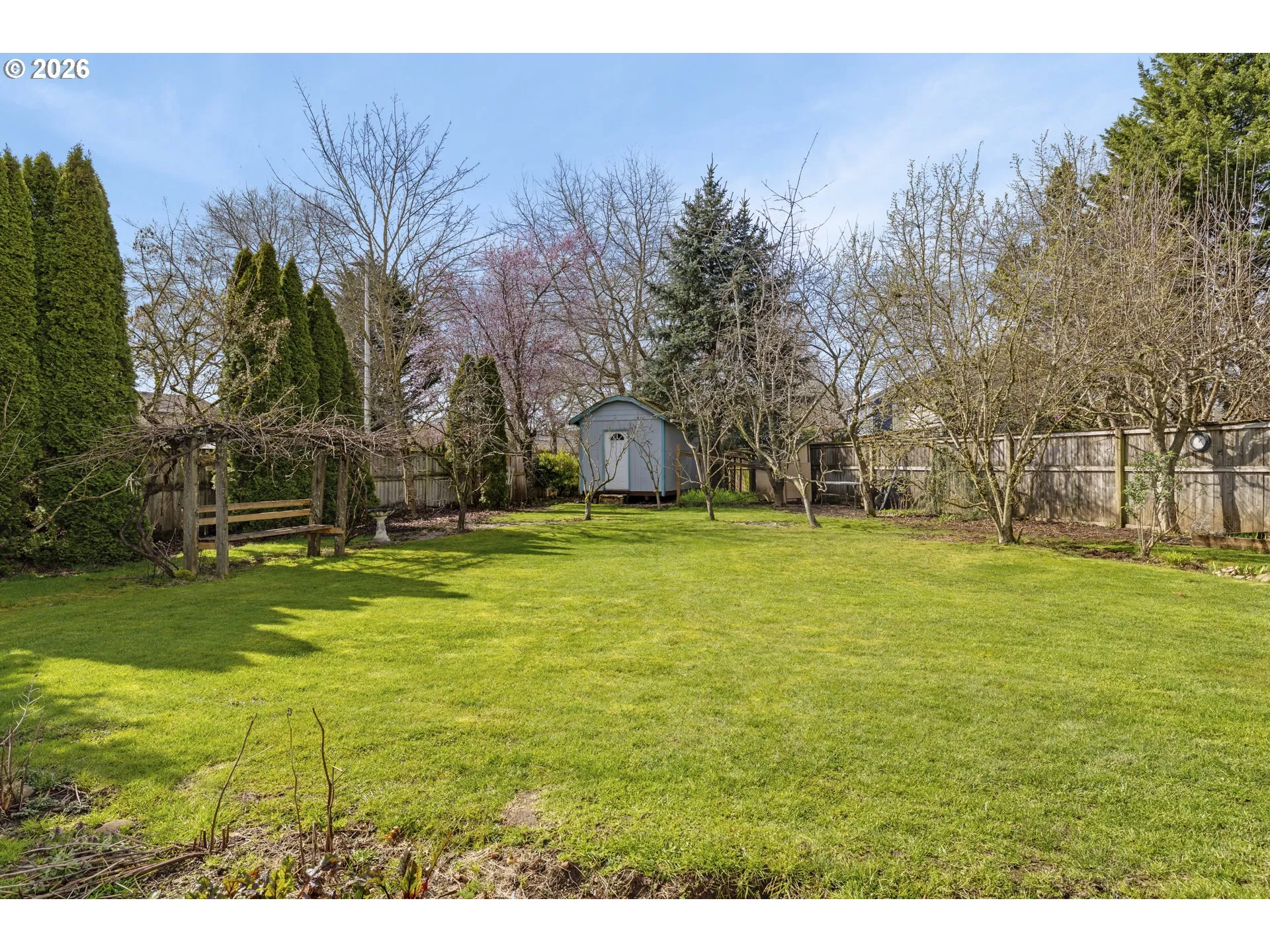 Backyard