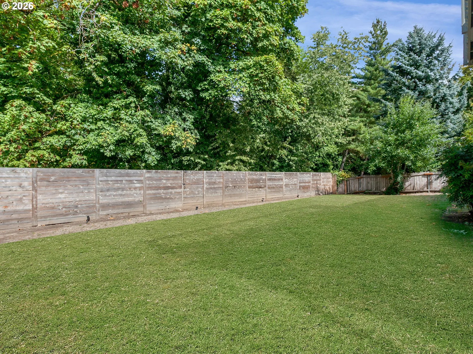 Backyard-Fenced