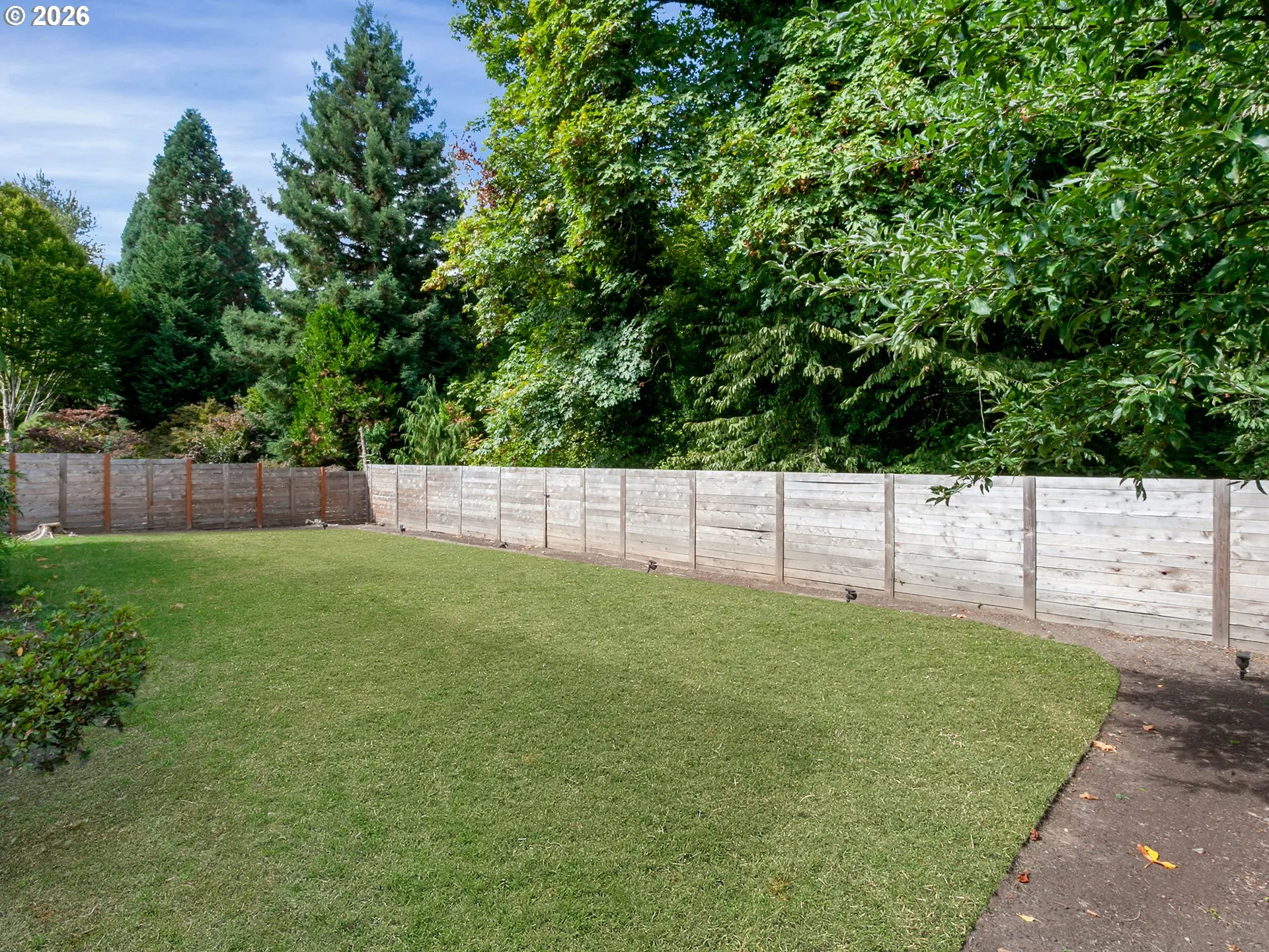 Backyard-Fenced