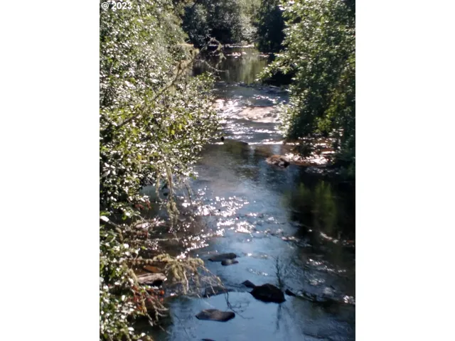 Creek-Year Round