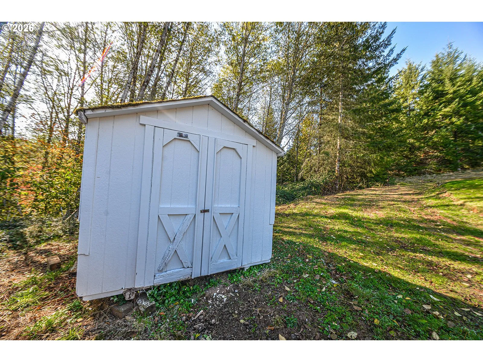 Shed