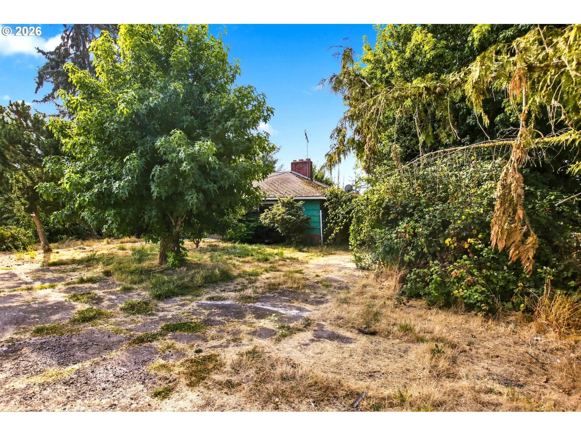 Driveway
