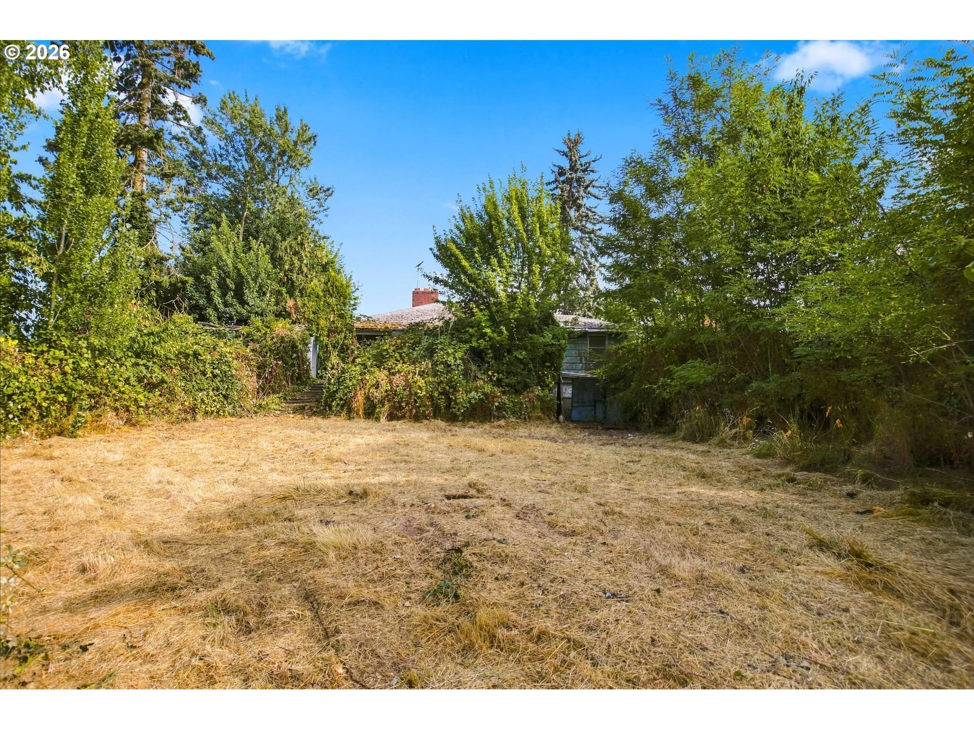 Backyard