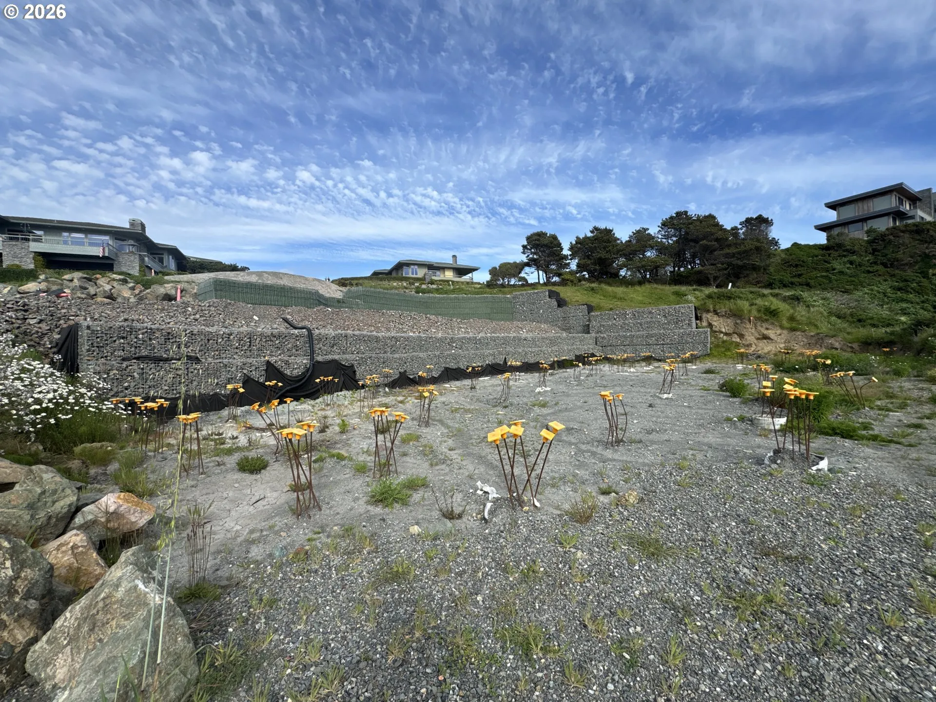Buildable Area