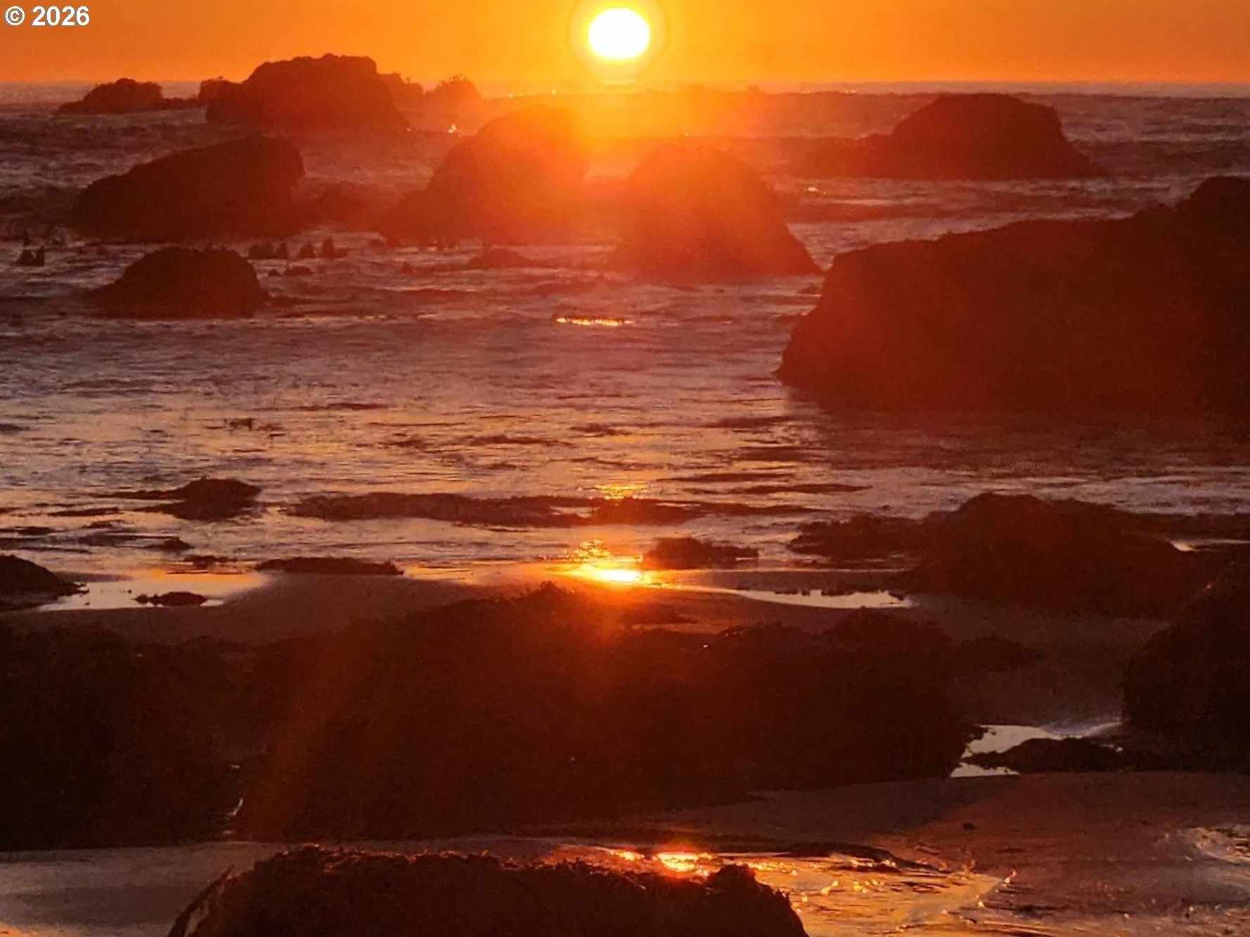 View-Ocean