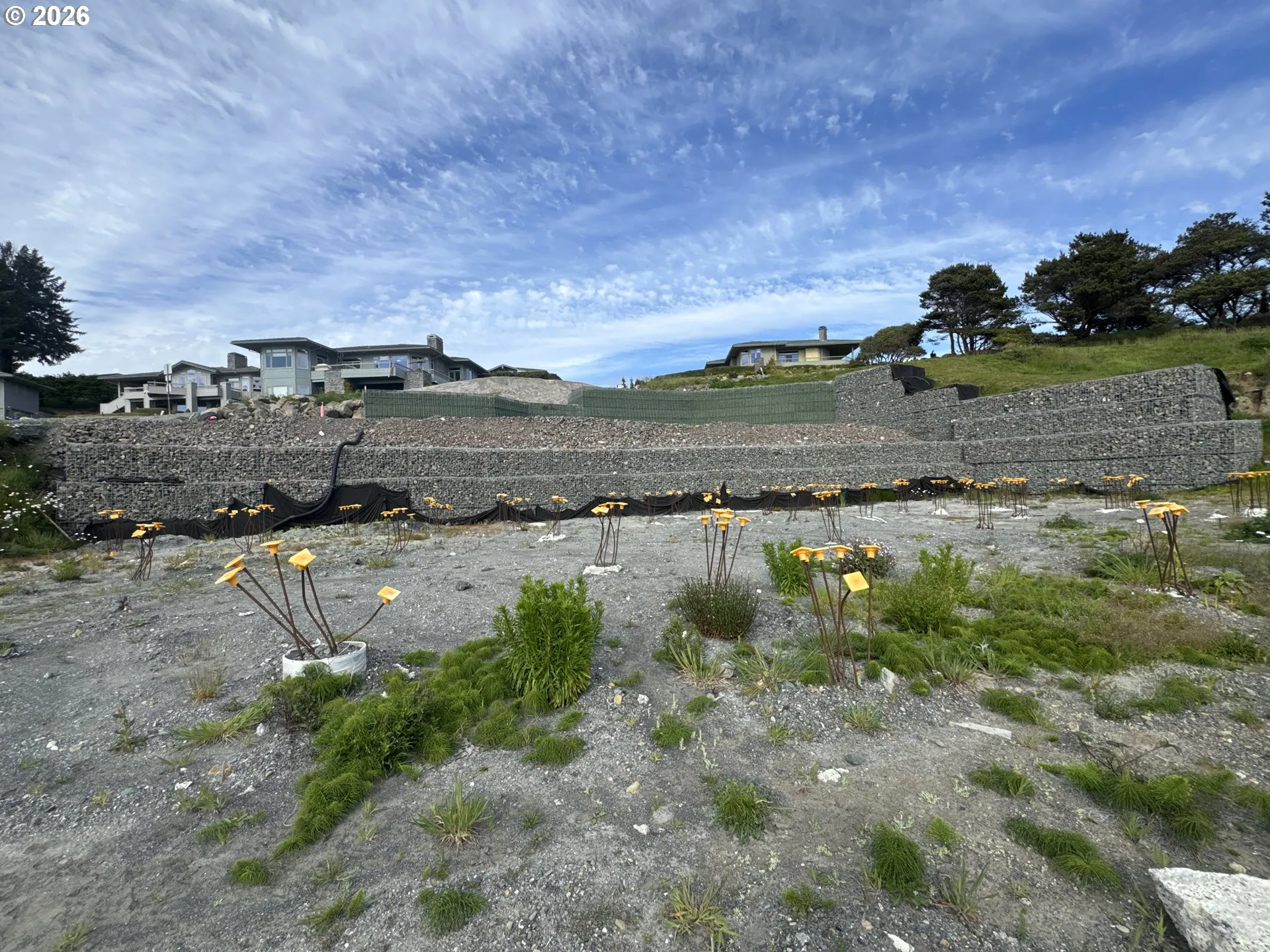 Buildable Area