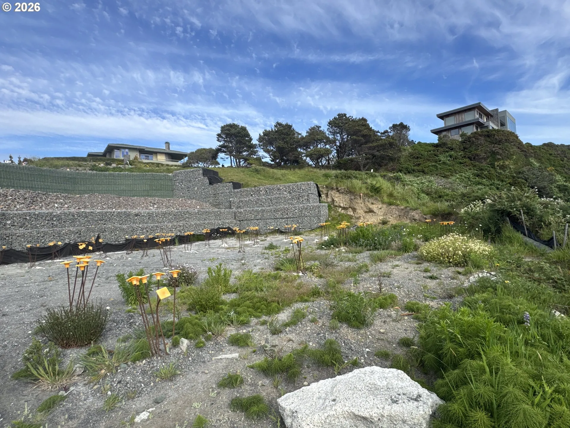 Buildable Area