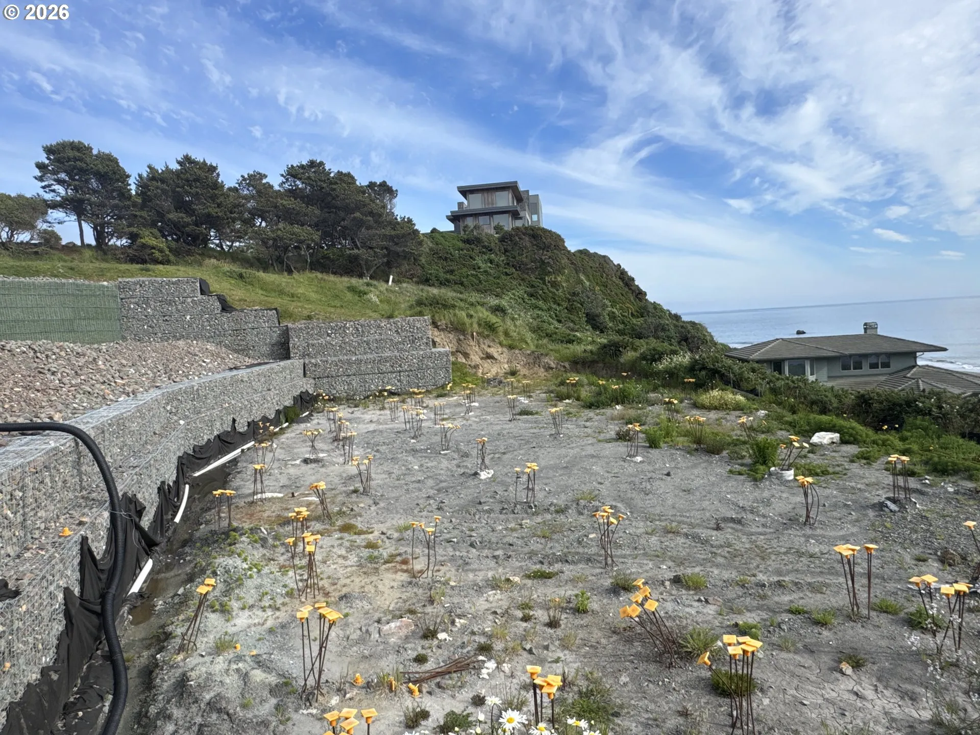 Buildable Area