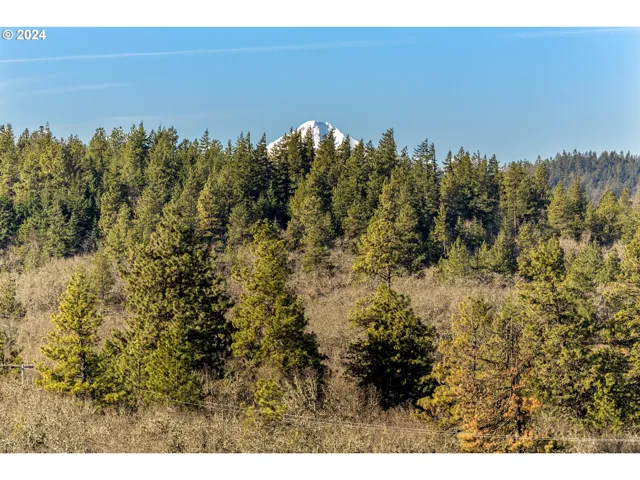View-Mountain