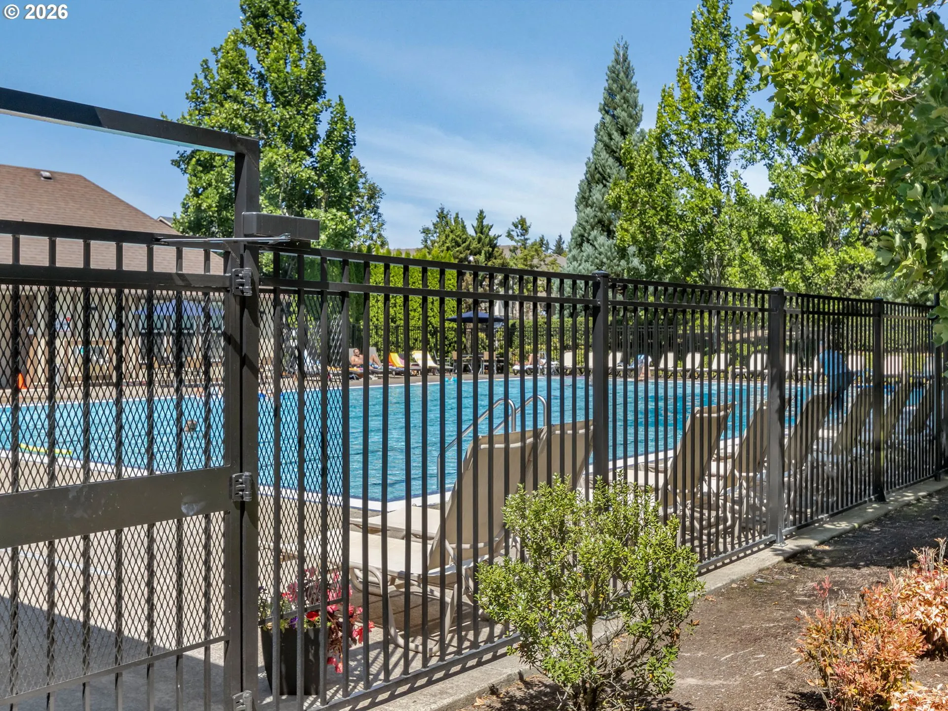 Community Pool