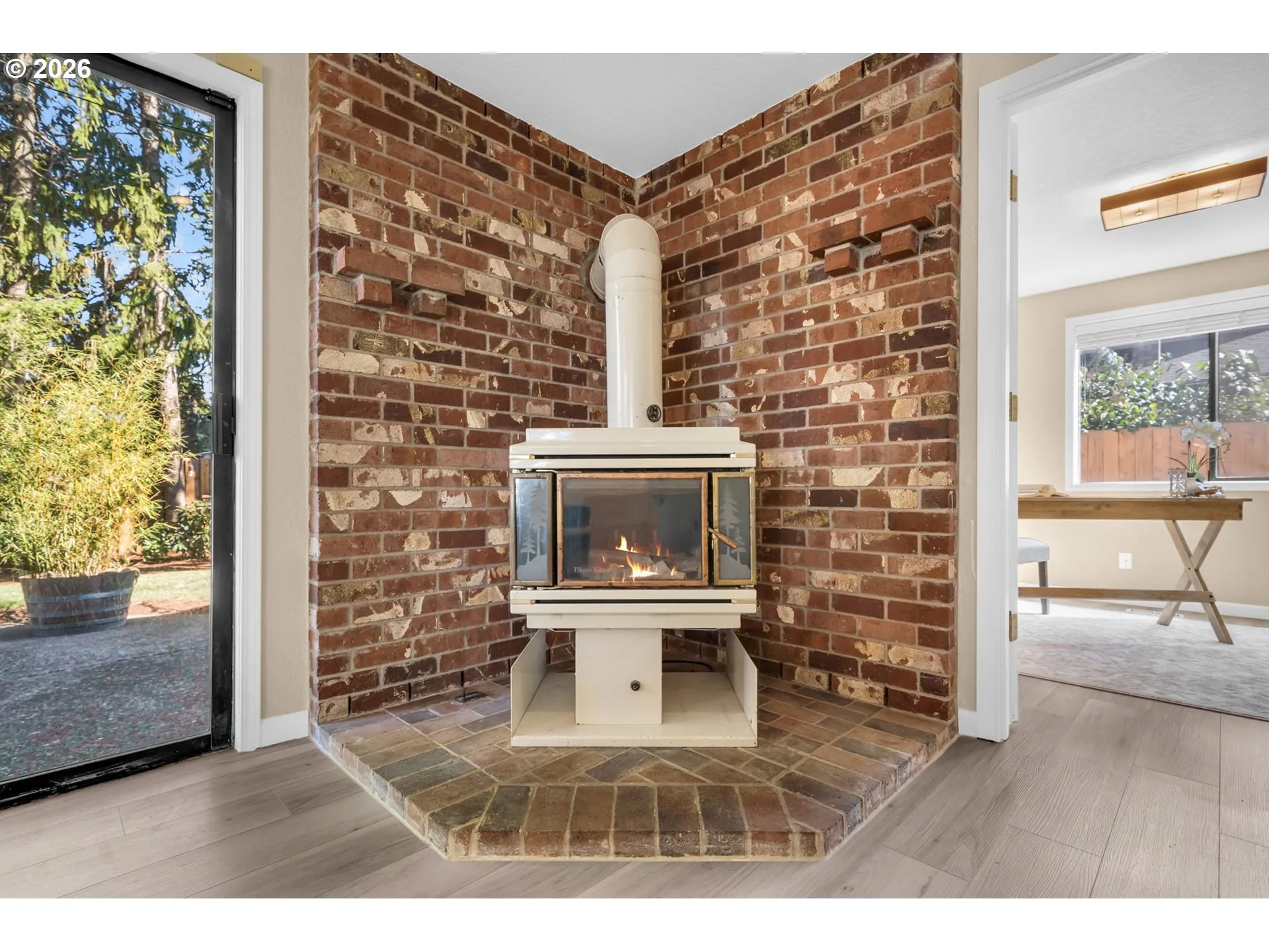 Fireplace Wood Burning Stove/Insert