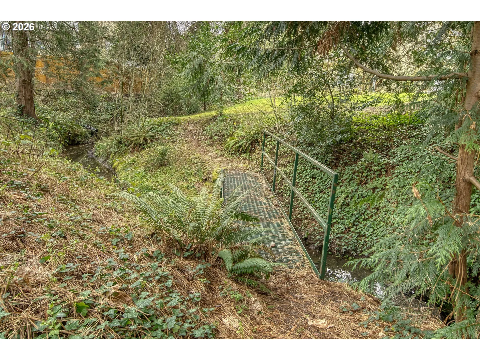Creek-Bridge