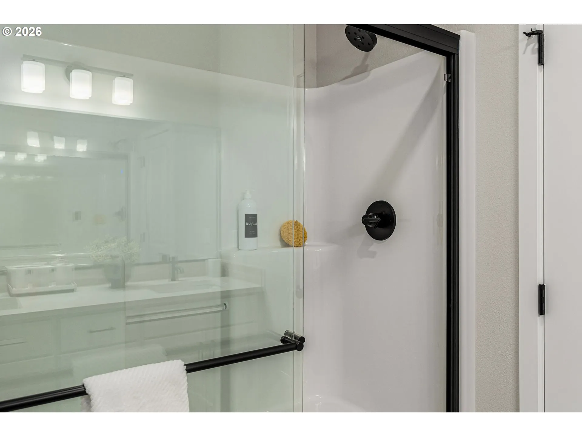 Owner's Suite Bathroom-Walk in Shower