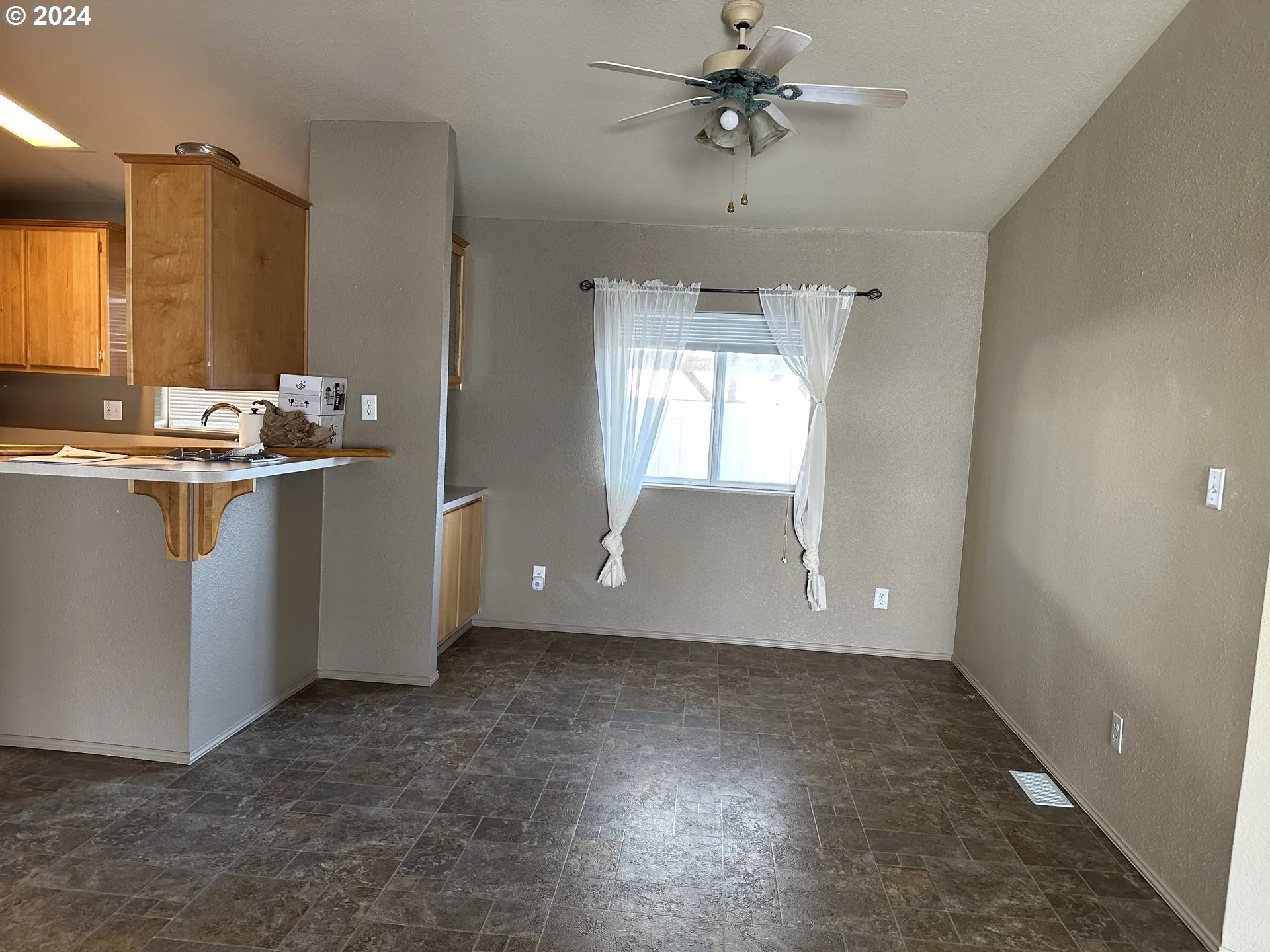 Dining Area-Ceiling Fan