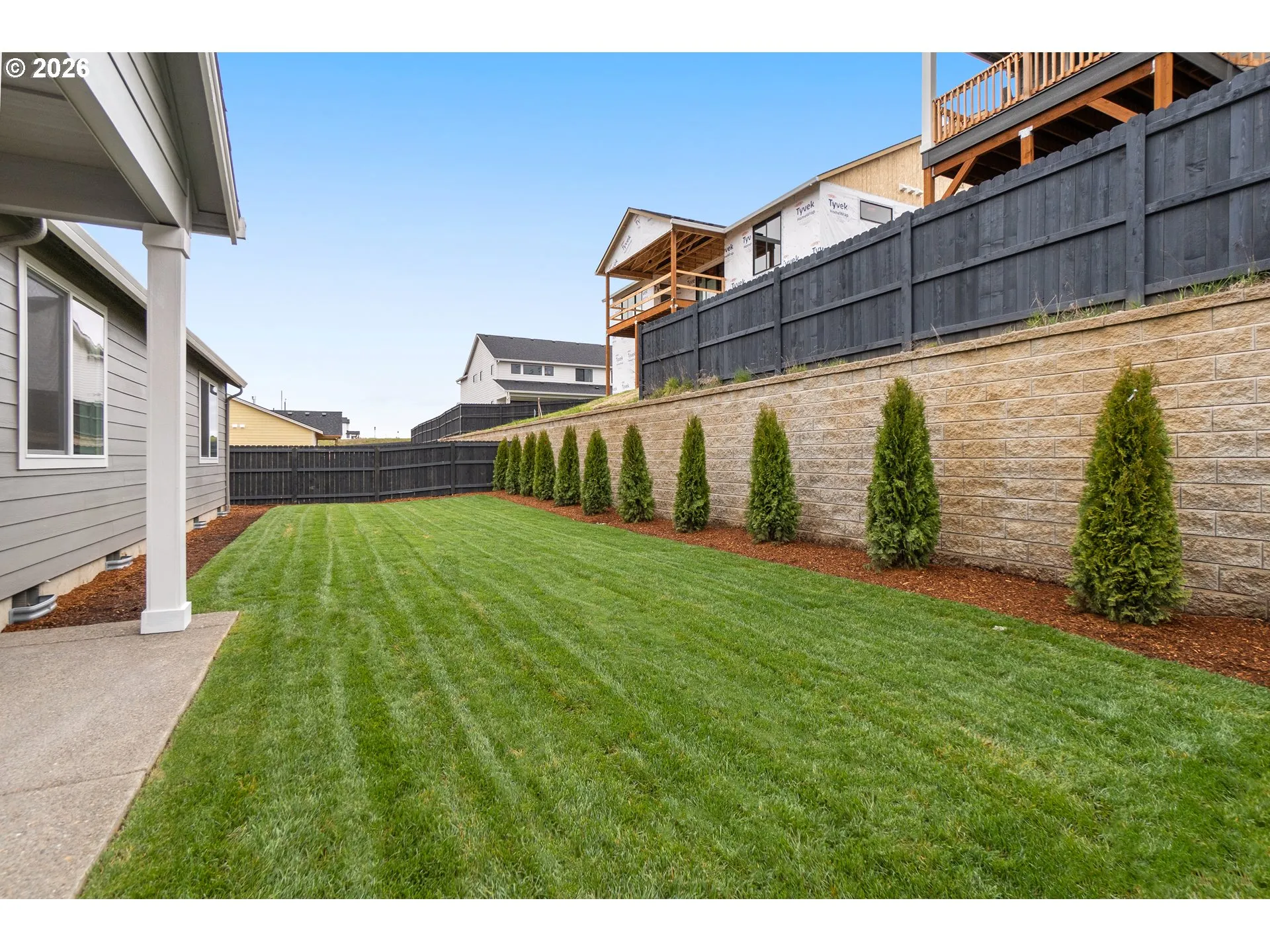 Backyard