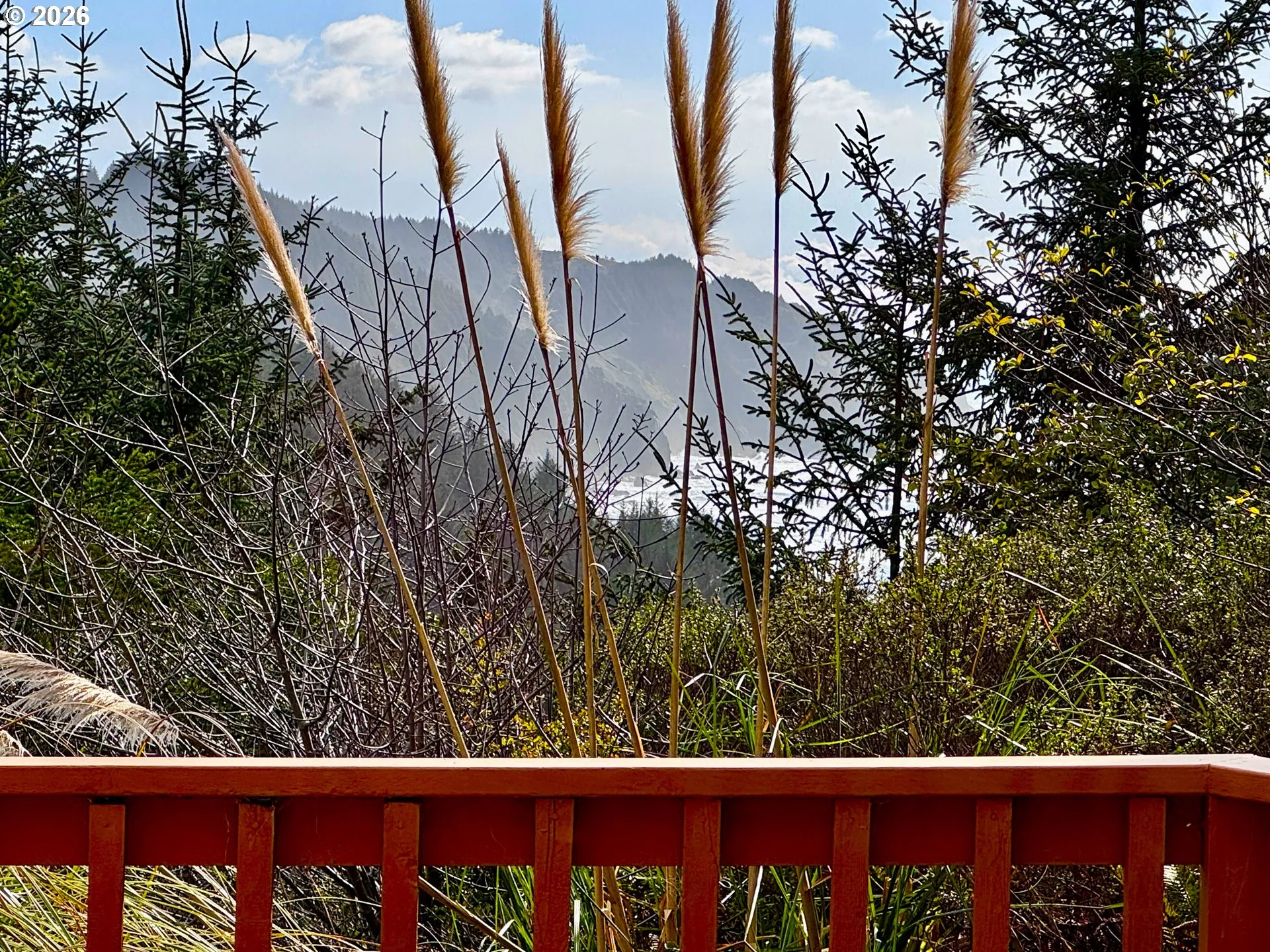 View-Ocean