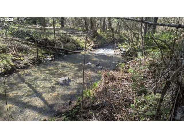 Creek