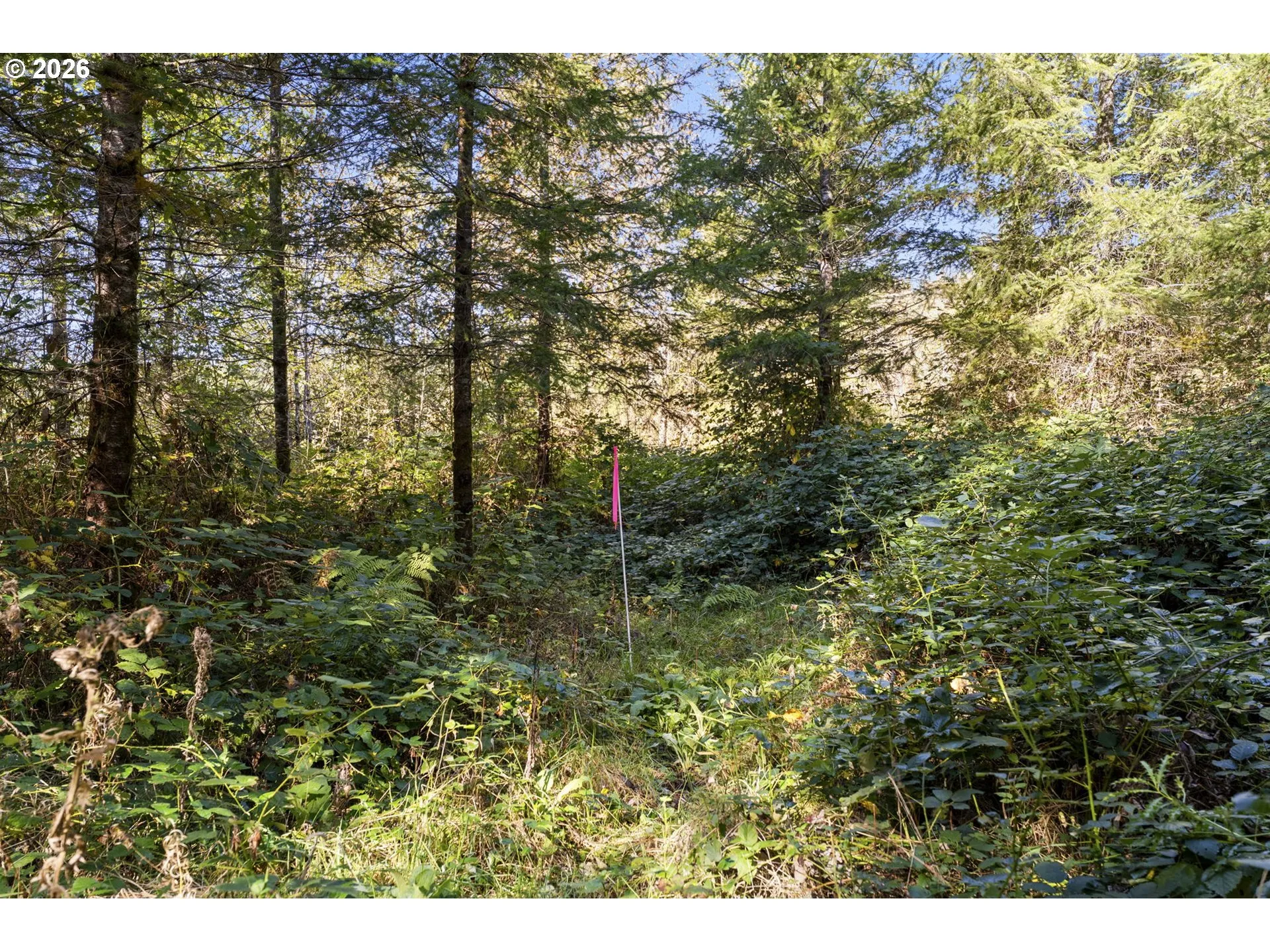 Acreage
