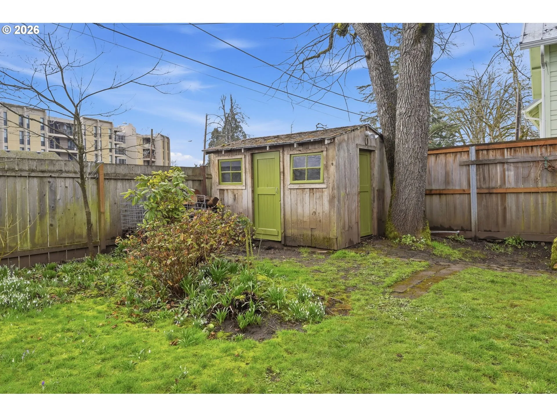 Shed