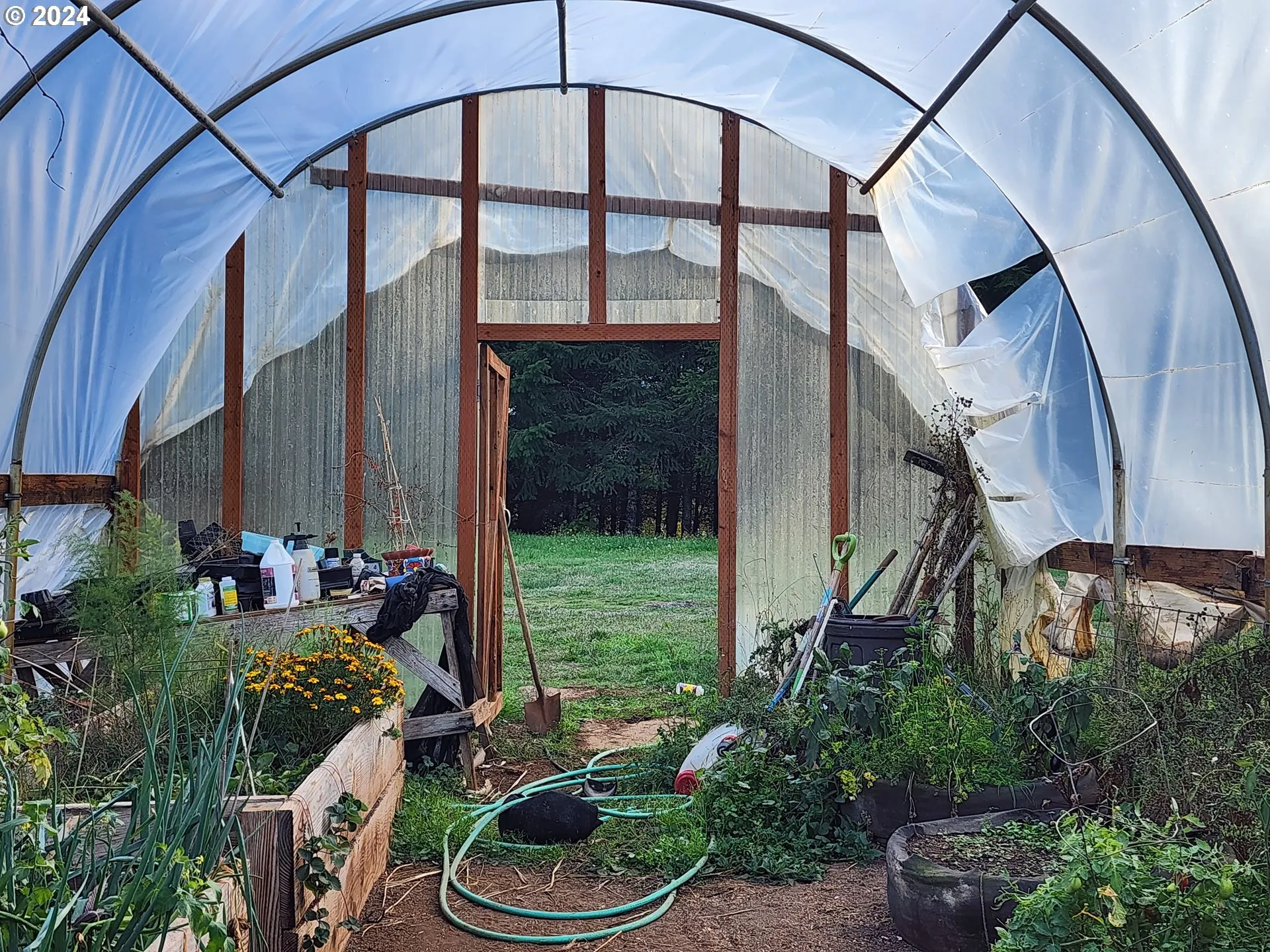 Greenhouse