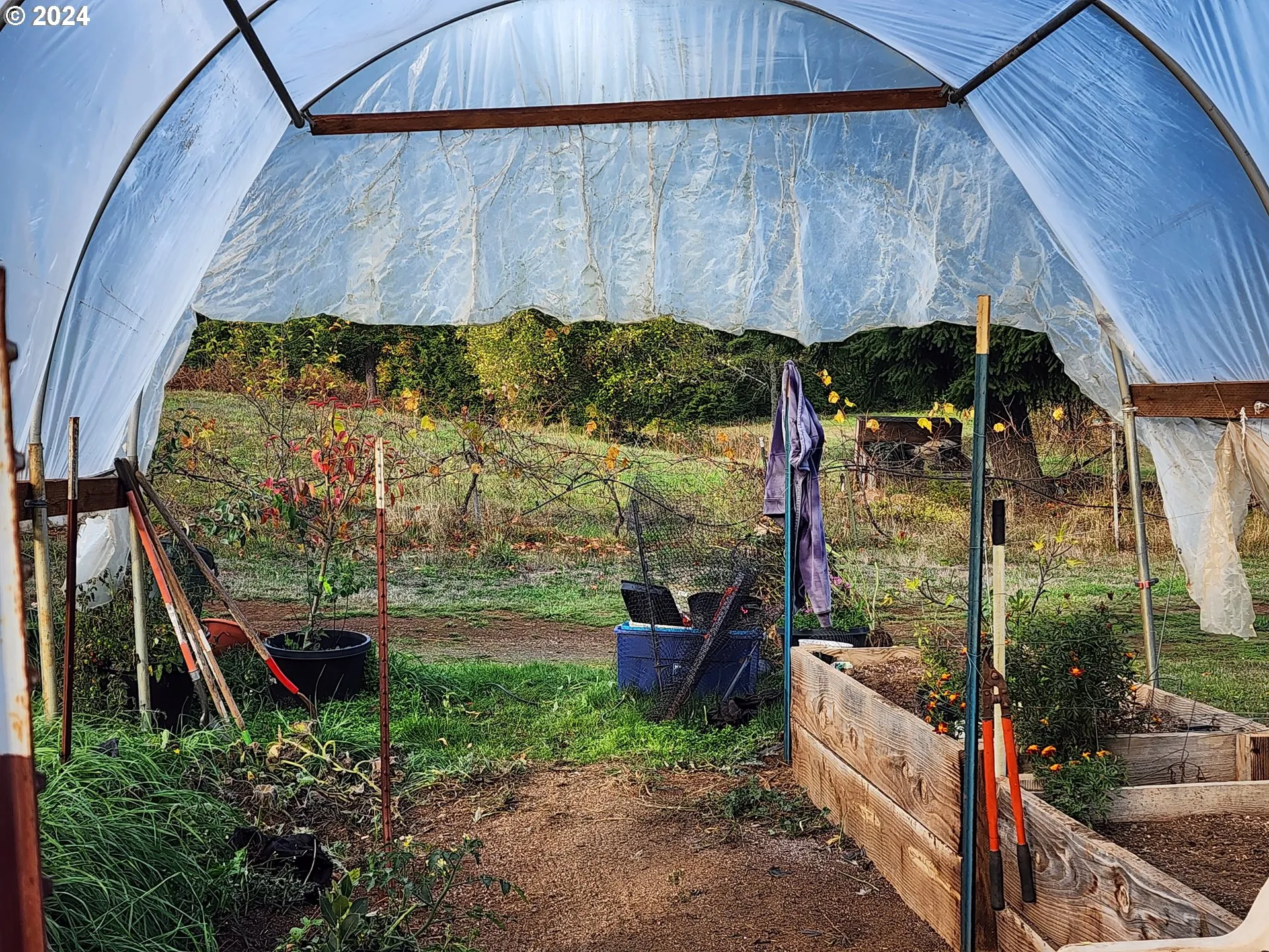 Greenhouse