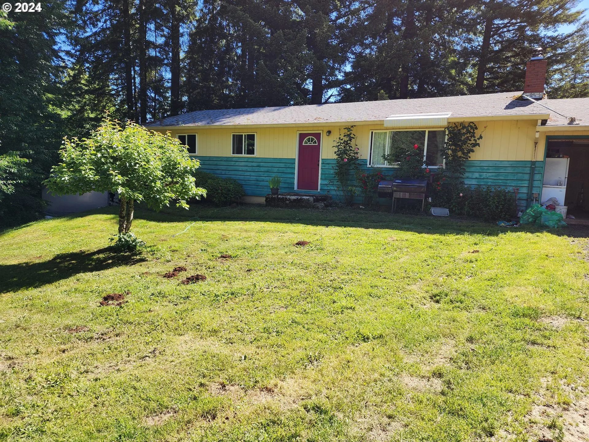 Front Yard