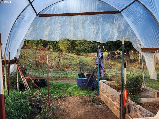 Greenhouse