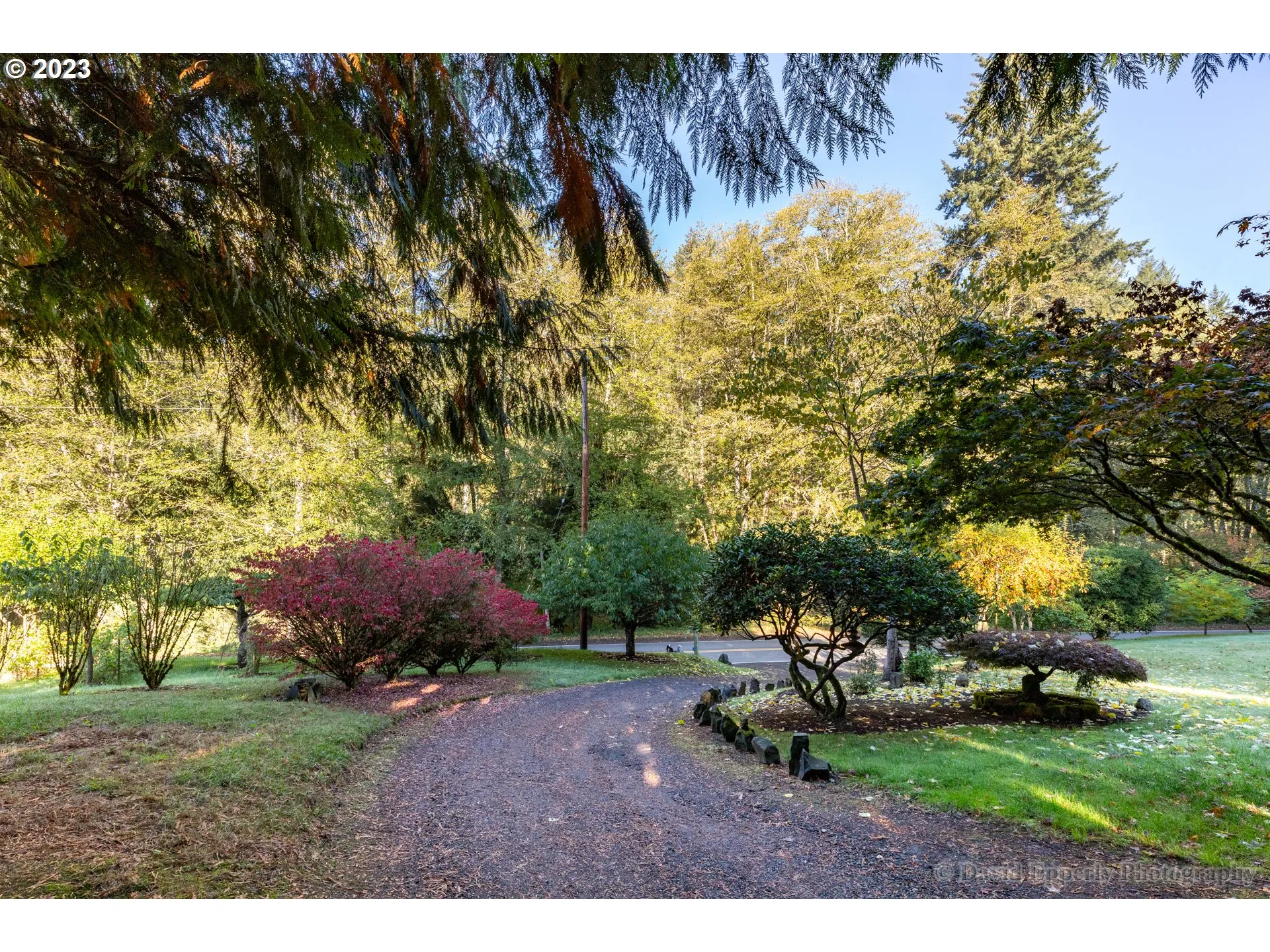 Driveway-Shared