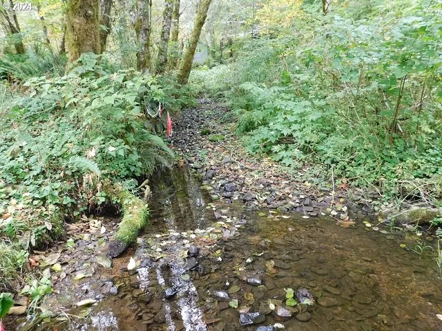Creek-Year Round