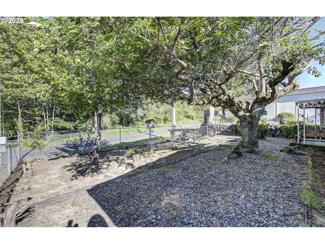 Backyard-Fenced
