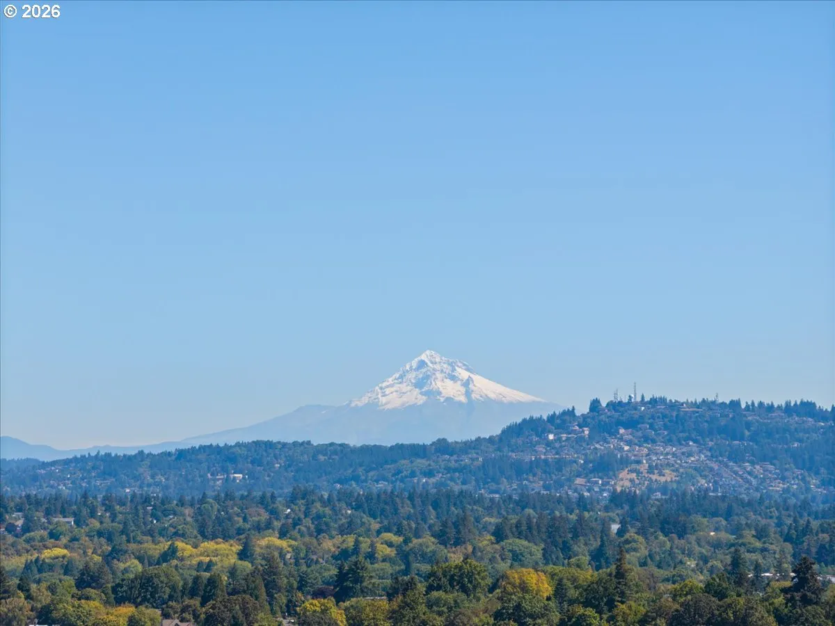 View-Mountain