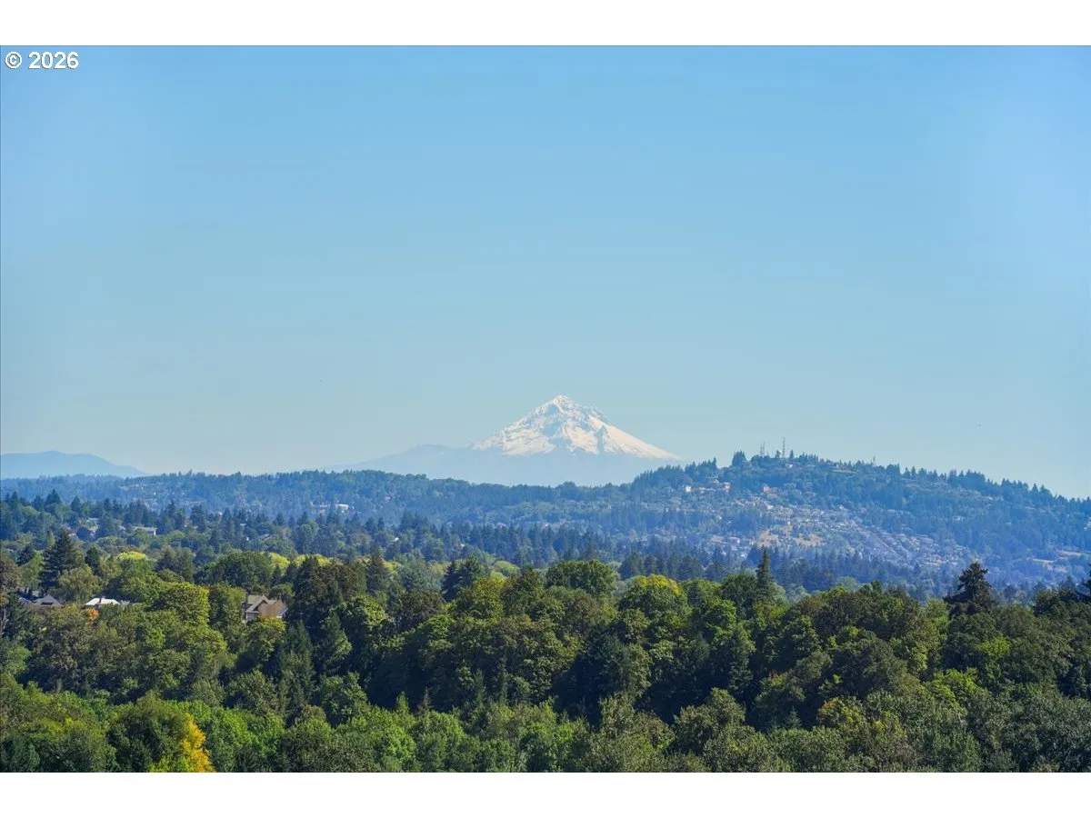 View-Mountain