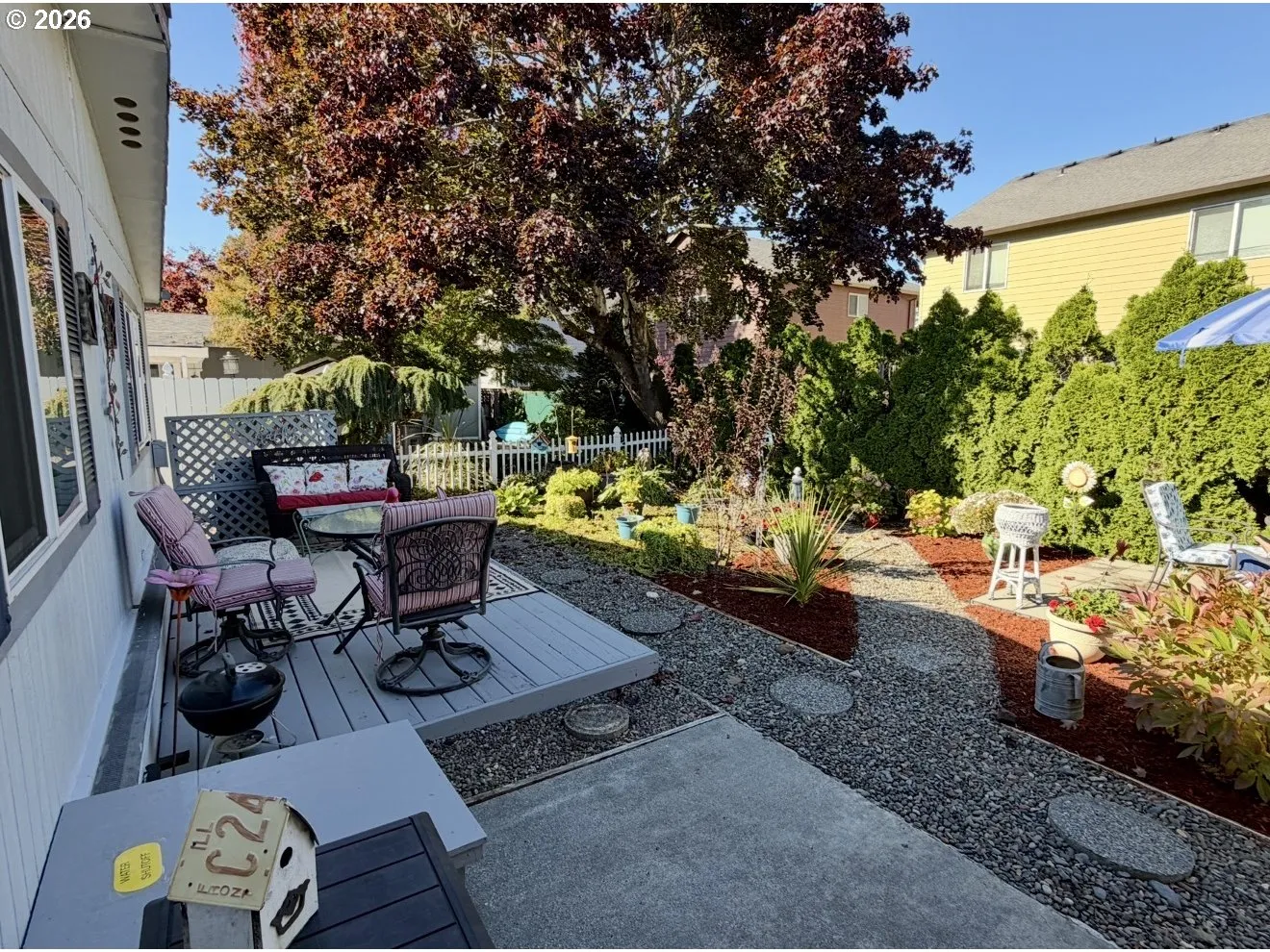 Backyard