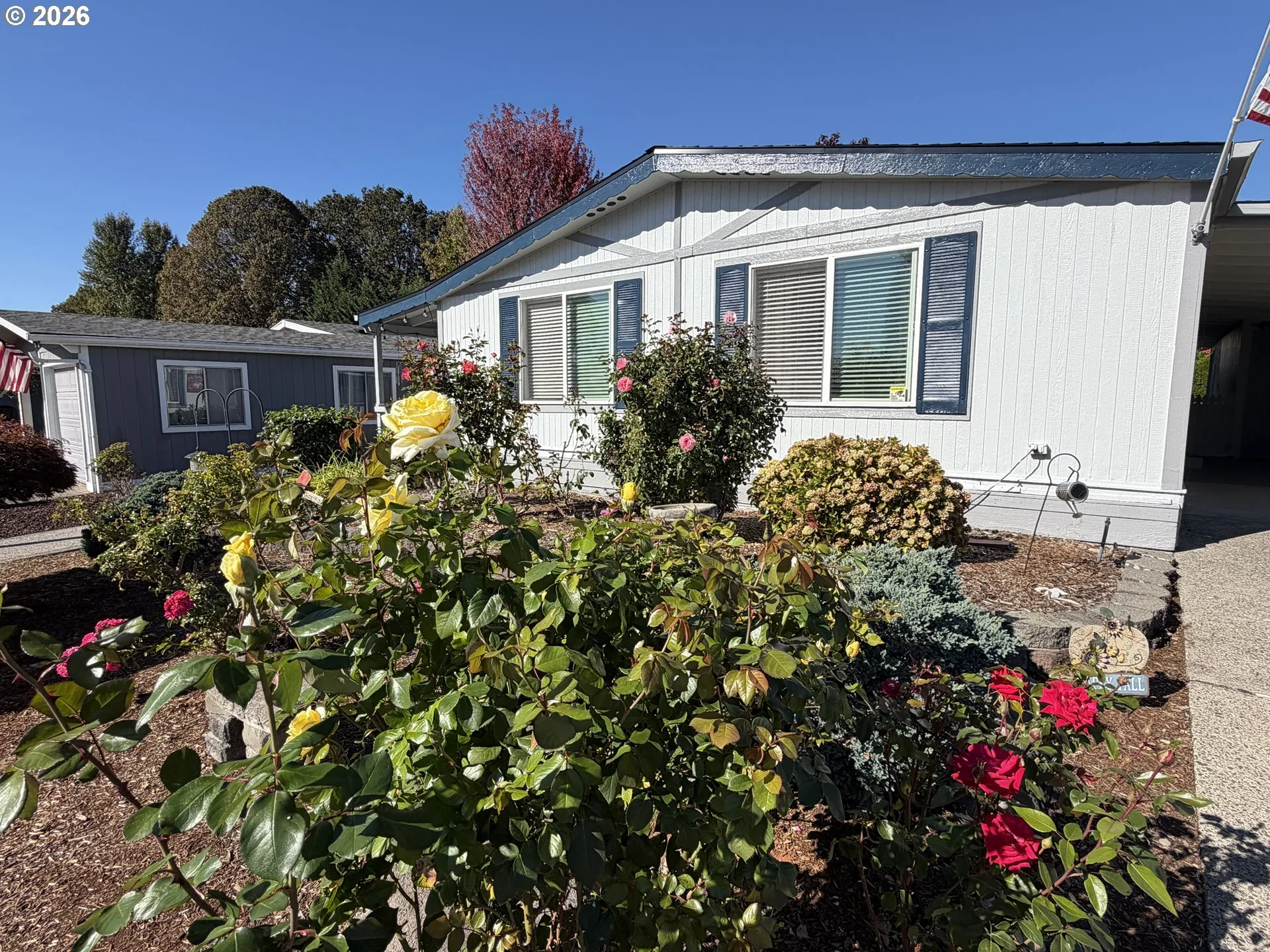 Front Yard