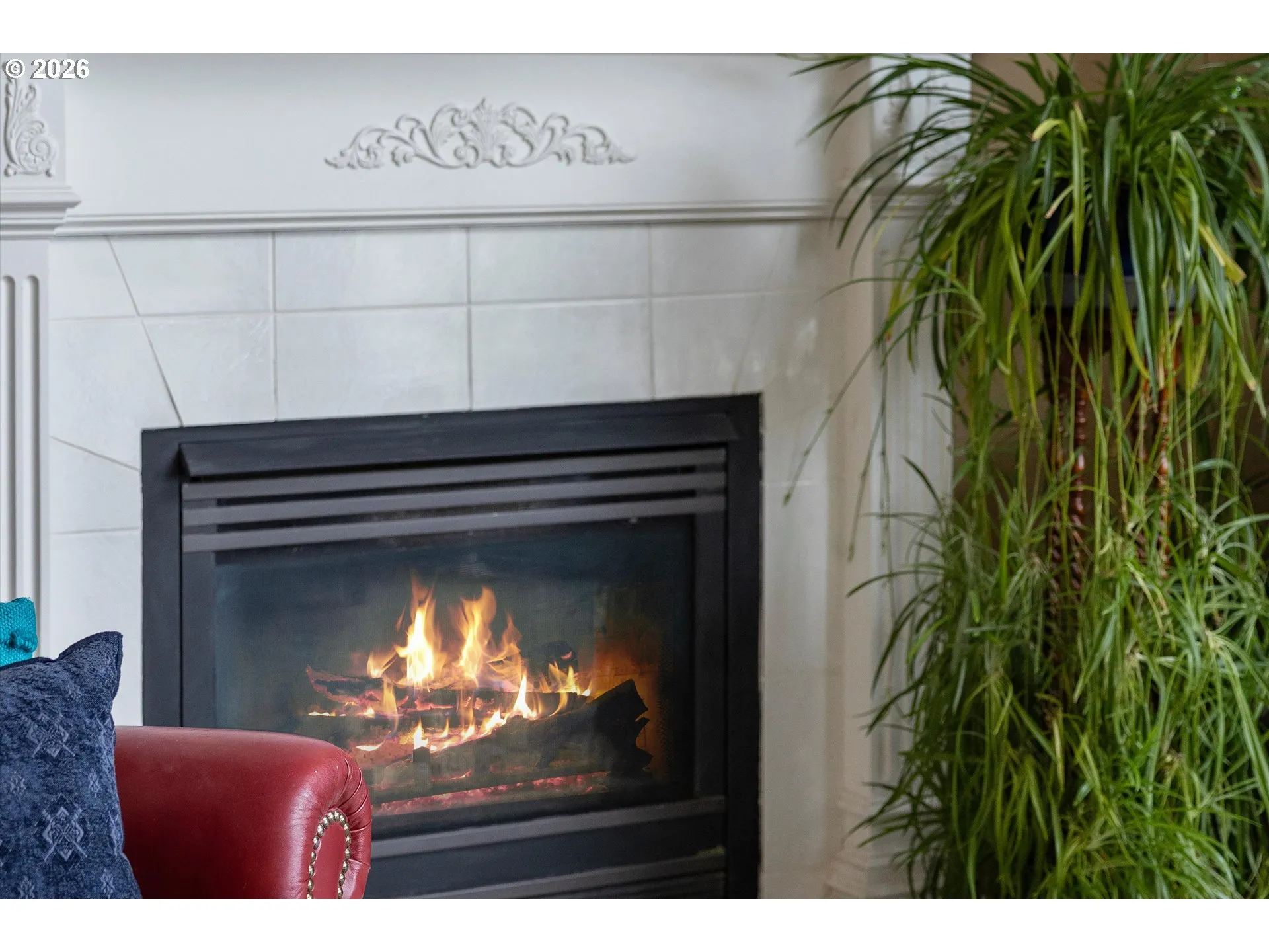 Living Room-Fireplace