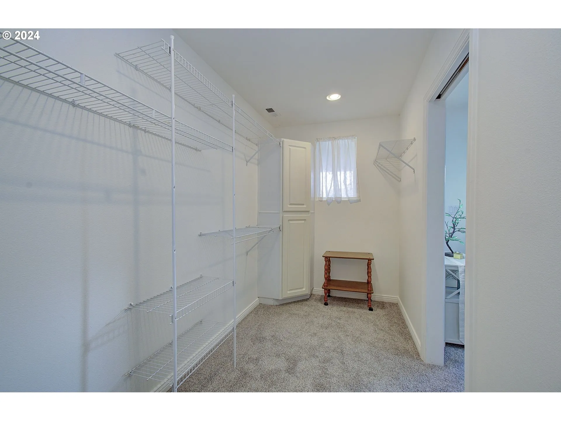 Primary Bedroom-Walk-In Closet