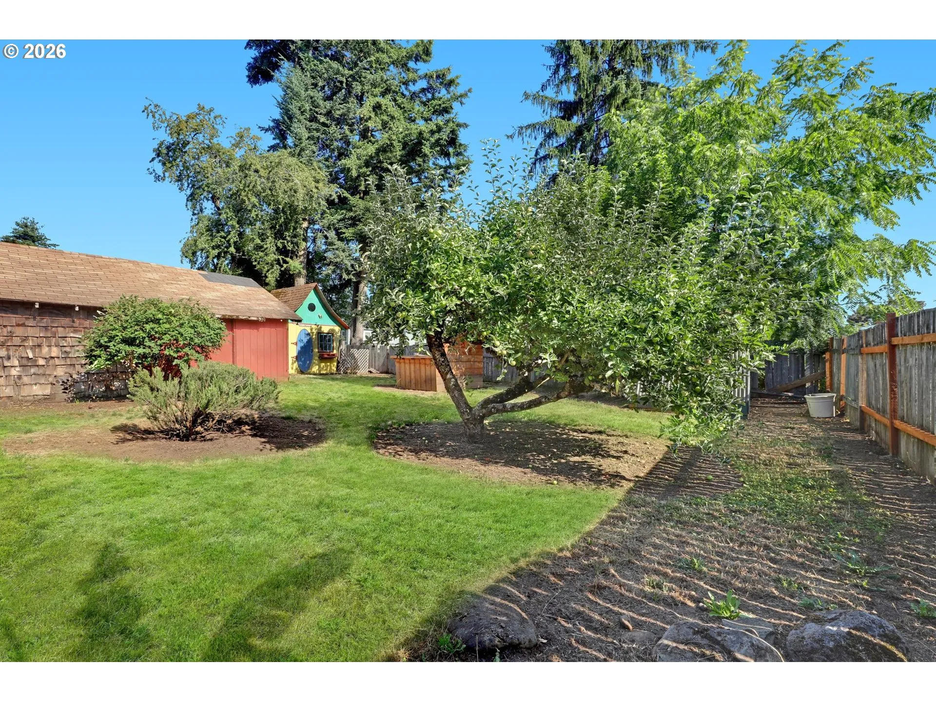 Backyard