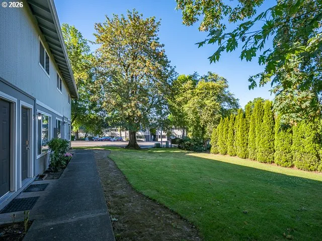 Front Yard
