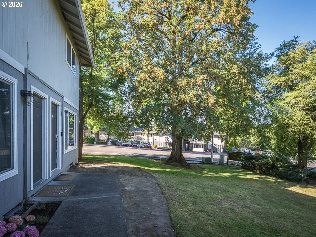 Front Yard-View From