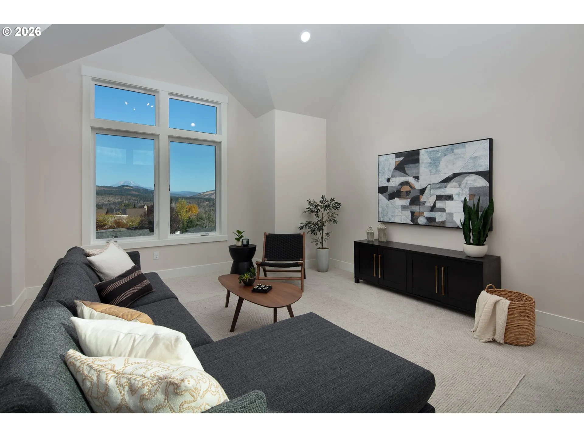 Bonus Room-Vaulted Ceilings