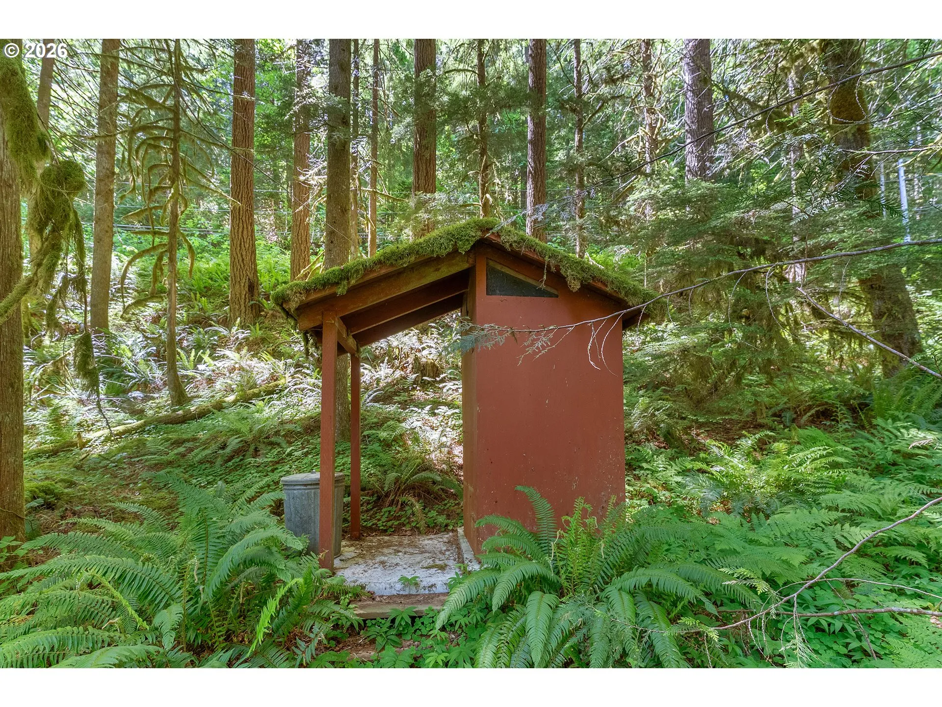 Shed