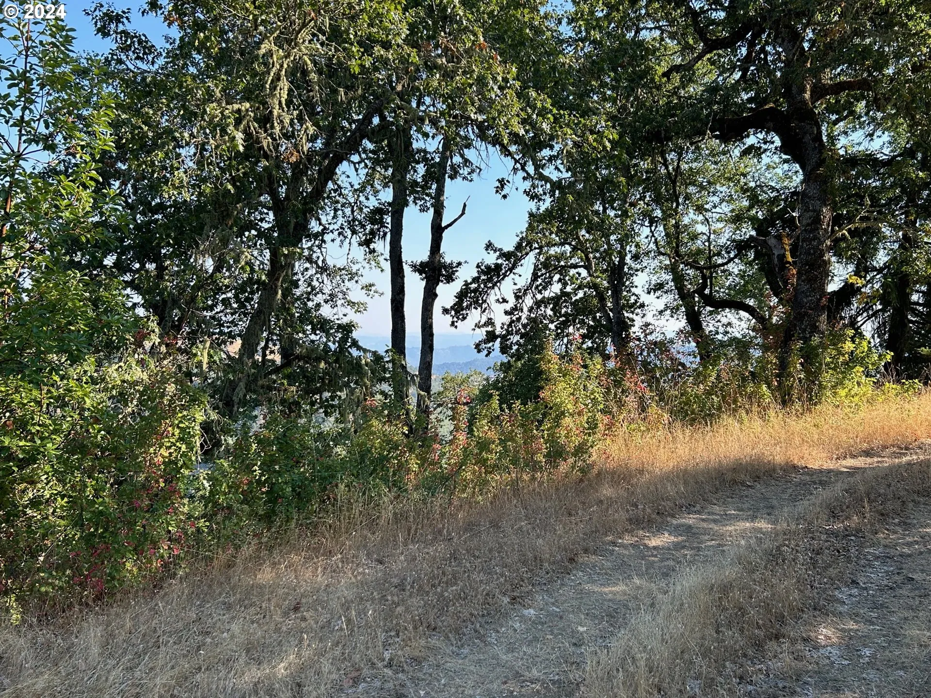 View-Valley