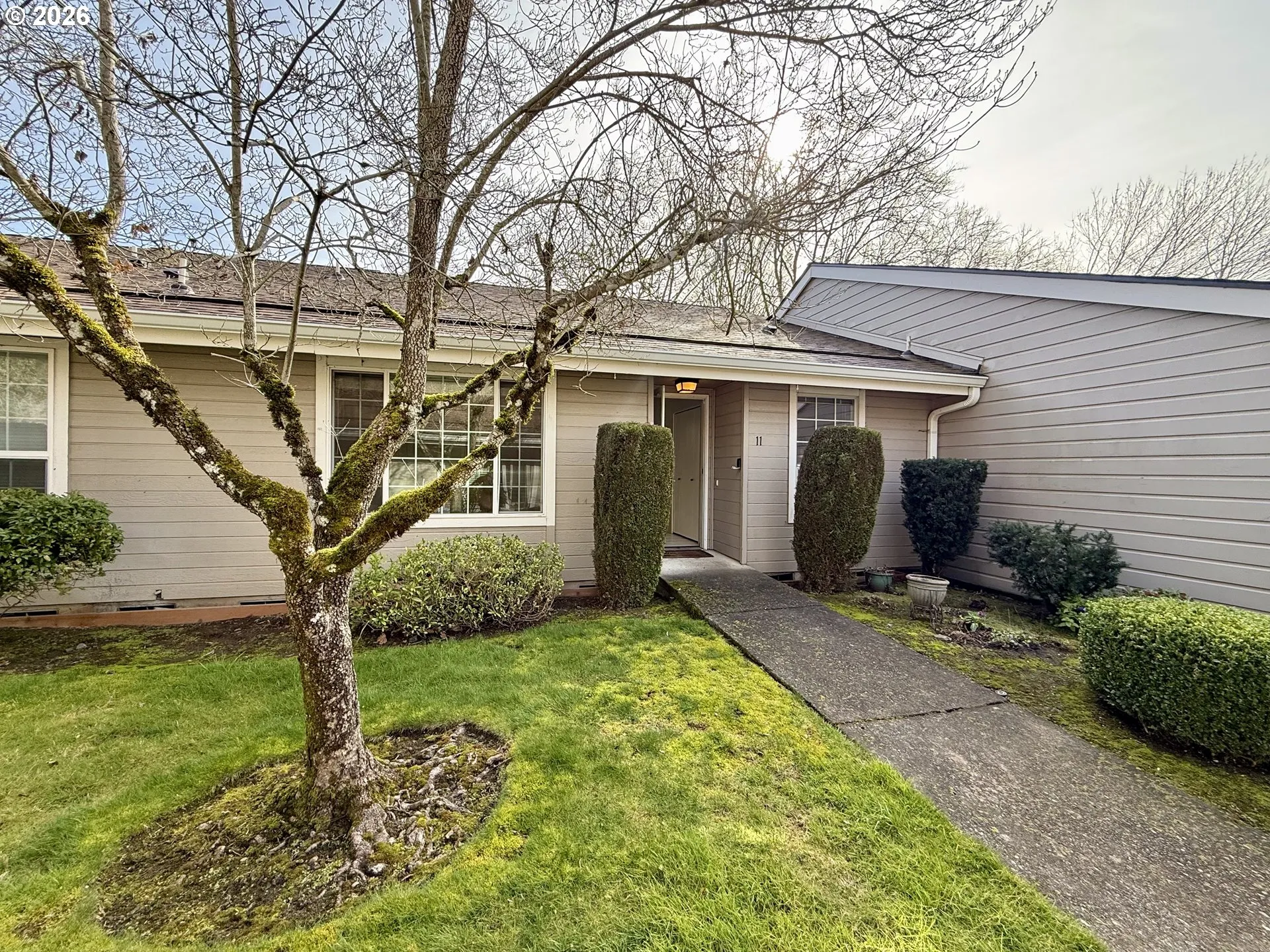 Front Yard